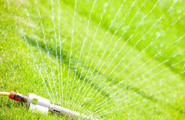 Closeup of a sprinkler watering a lawn.
