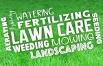 A list of different lawn care services on a grass background.